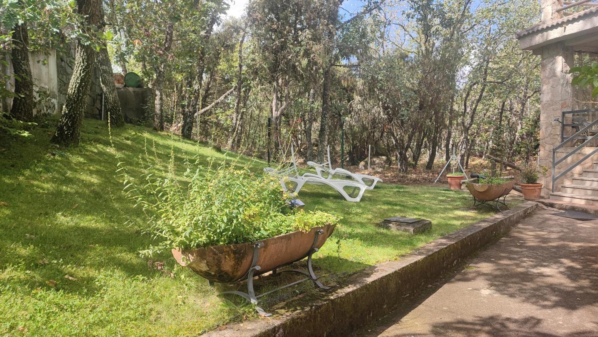 El Rincon De Gredos Guest House Navaluenga Ngoại thất bức ảnh